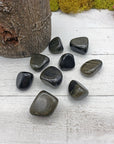 Gold Sheen Rainbow Obsidian Crystal Tumbled Stone | SMALL