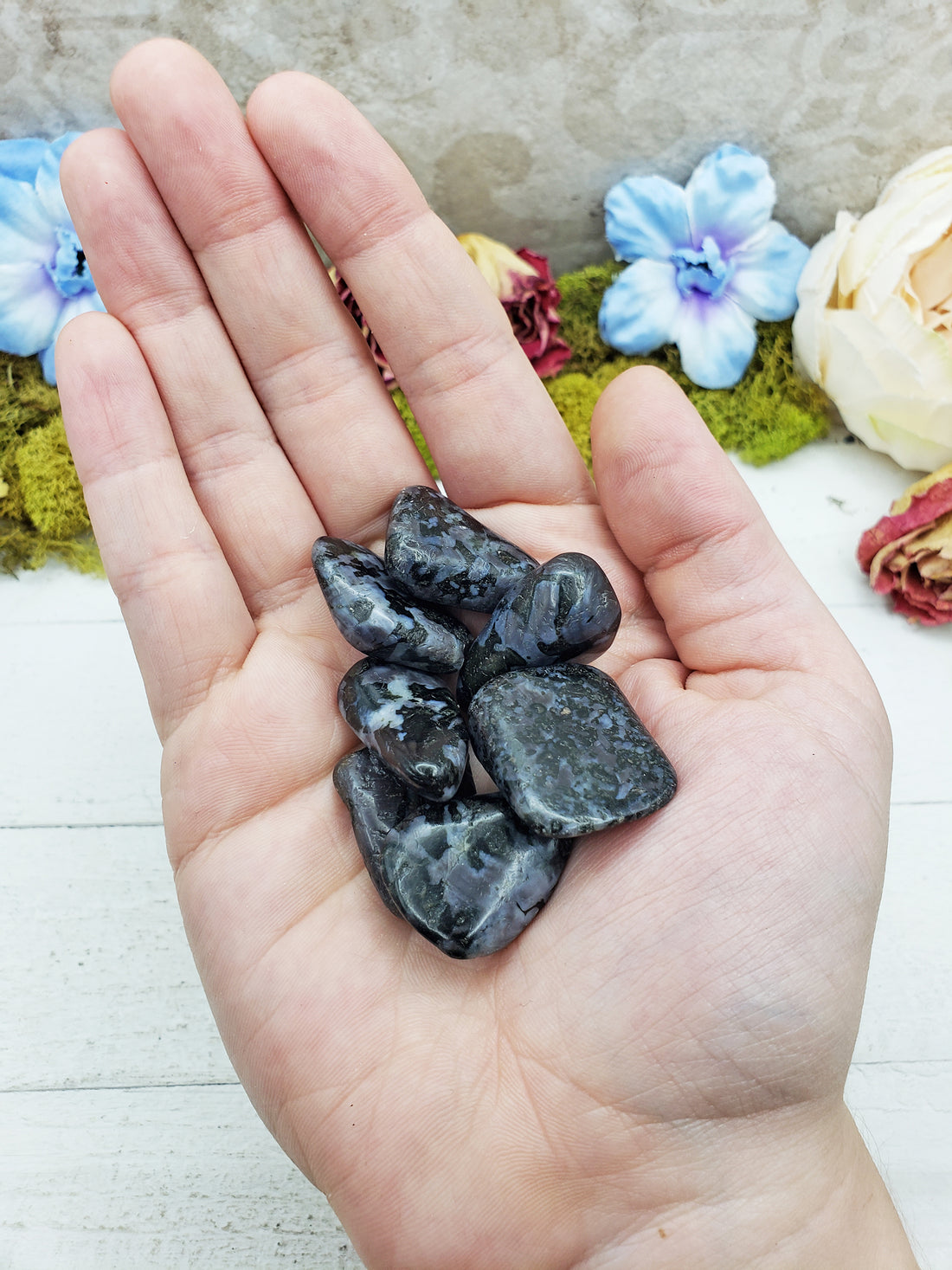 merlinite indigo gabbro stones in hand