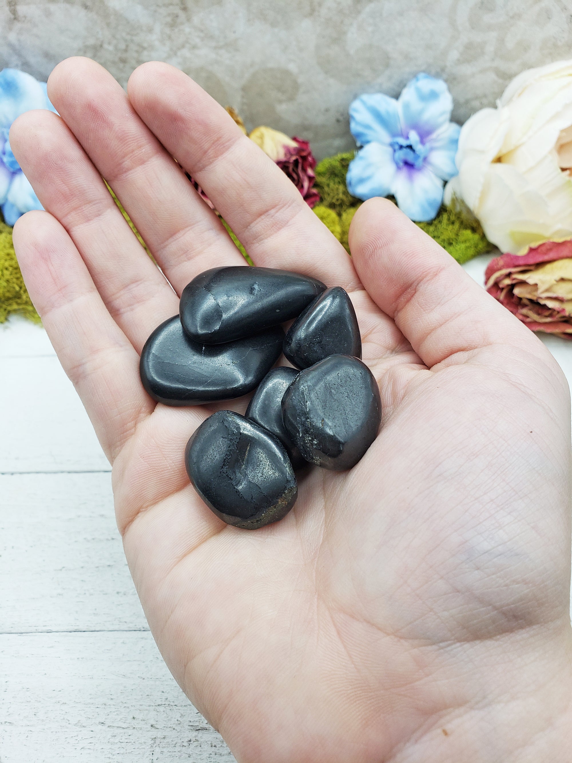 shungite stones in hand