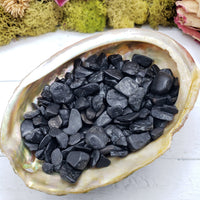 3 ounces of black tourmaline in abalone shell display