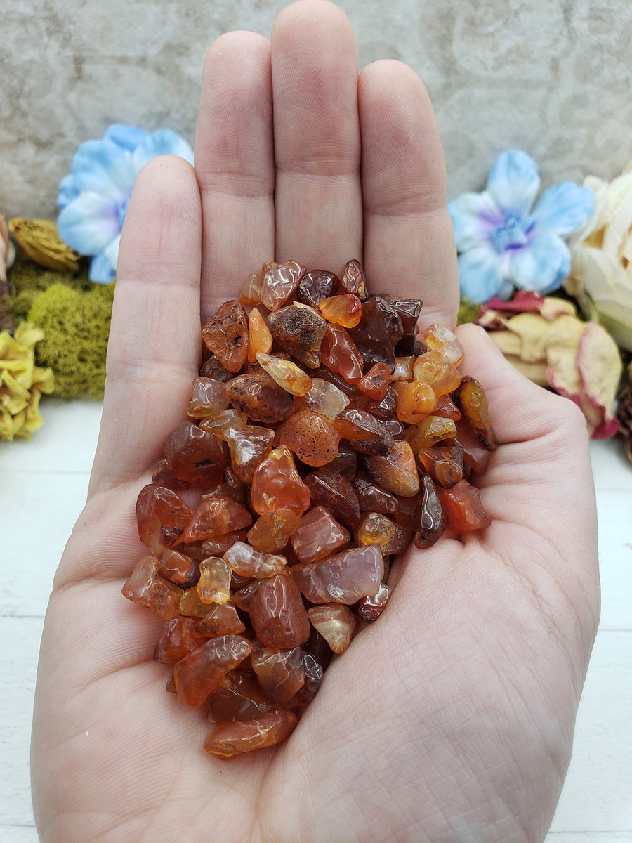 hand holding three ounces of carnelian chips