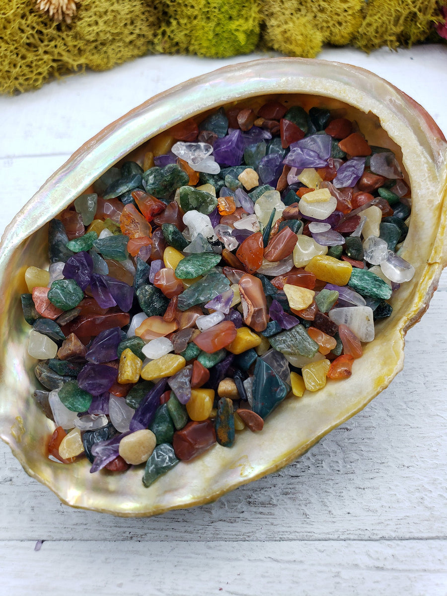 Three ounces of mixed gemstone crystal chips in abalone shell