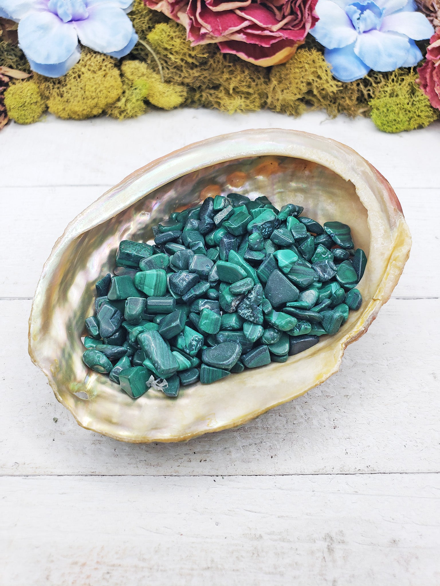 malachite crystal chips in shell