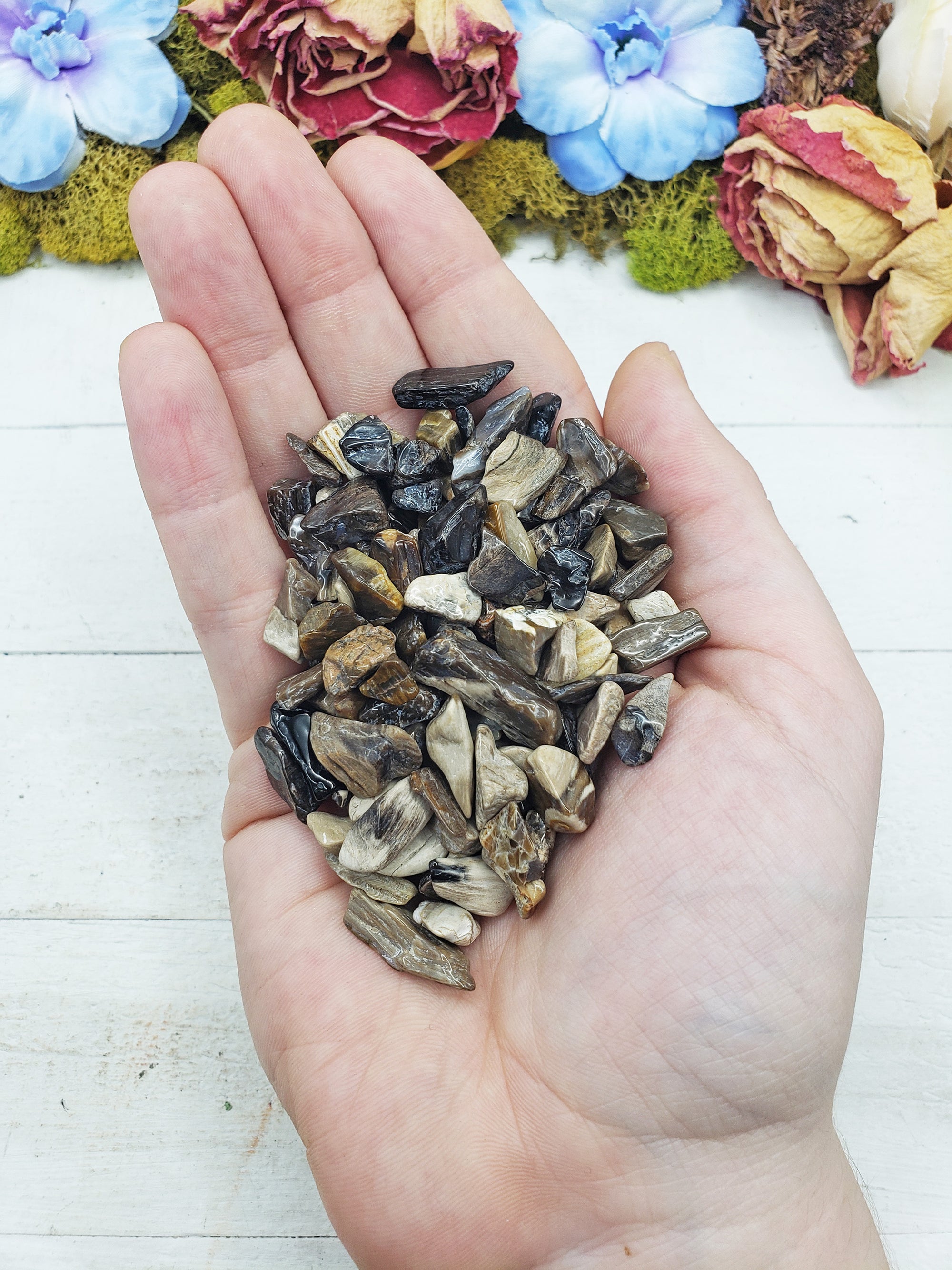 petrified wood chips in hand