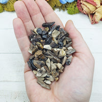 petrified wood chips in hand