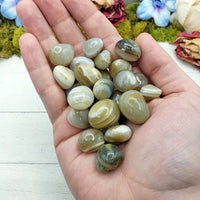 WHOLESALE BULK LOTS Marble Banded Agate Natural Tumbled Gemstone - 20 Stones