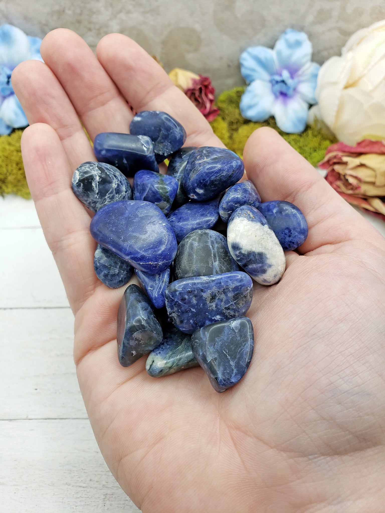 tumbled sodalite crystal pieces in hand