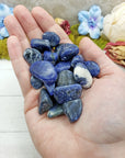 tumbled sodalite crystal pieces in hand