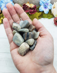 Multi Black Moonstone Crystal Natural Gemstone Tumbled Stone
