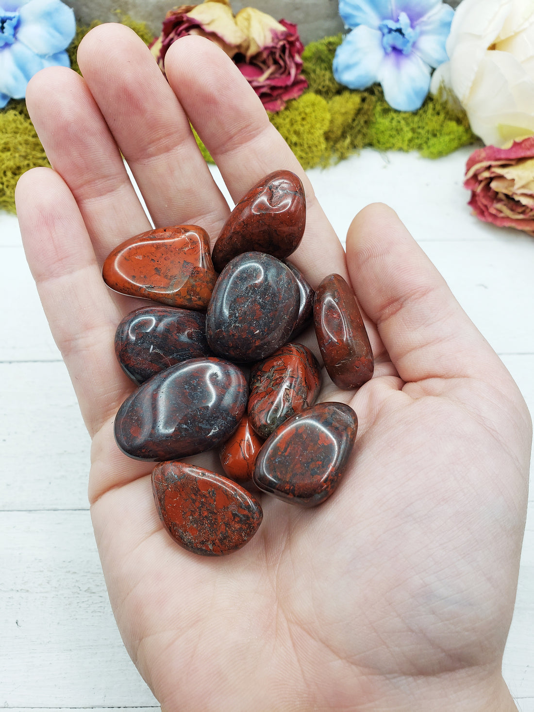 Brecciated Jasper stones in hand