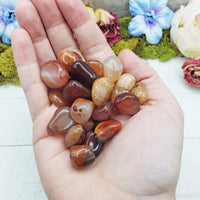 mini carnelian stones in hand
