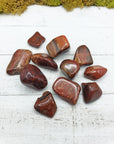 red agatized wood stones on board
