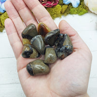 septarian stones in hand