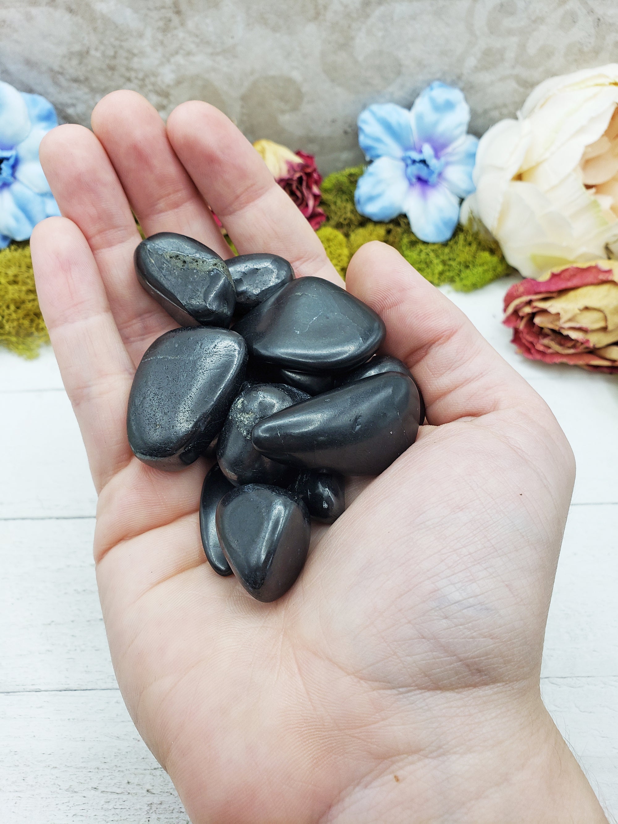 shungite stones in hand