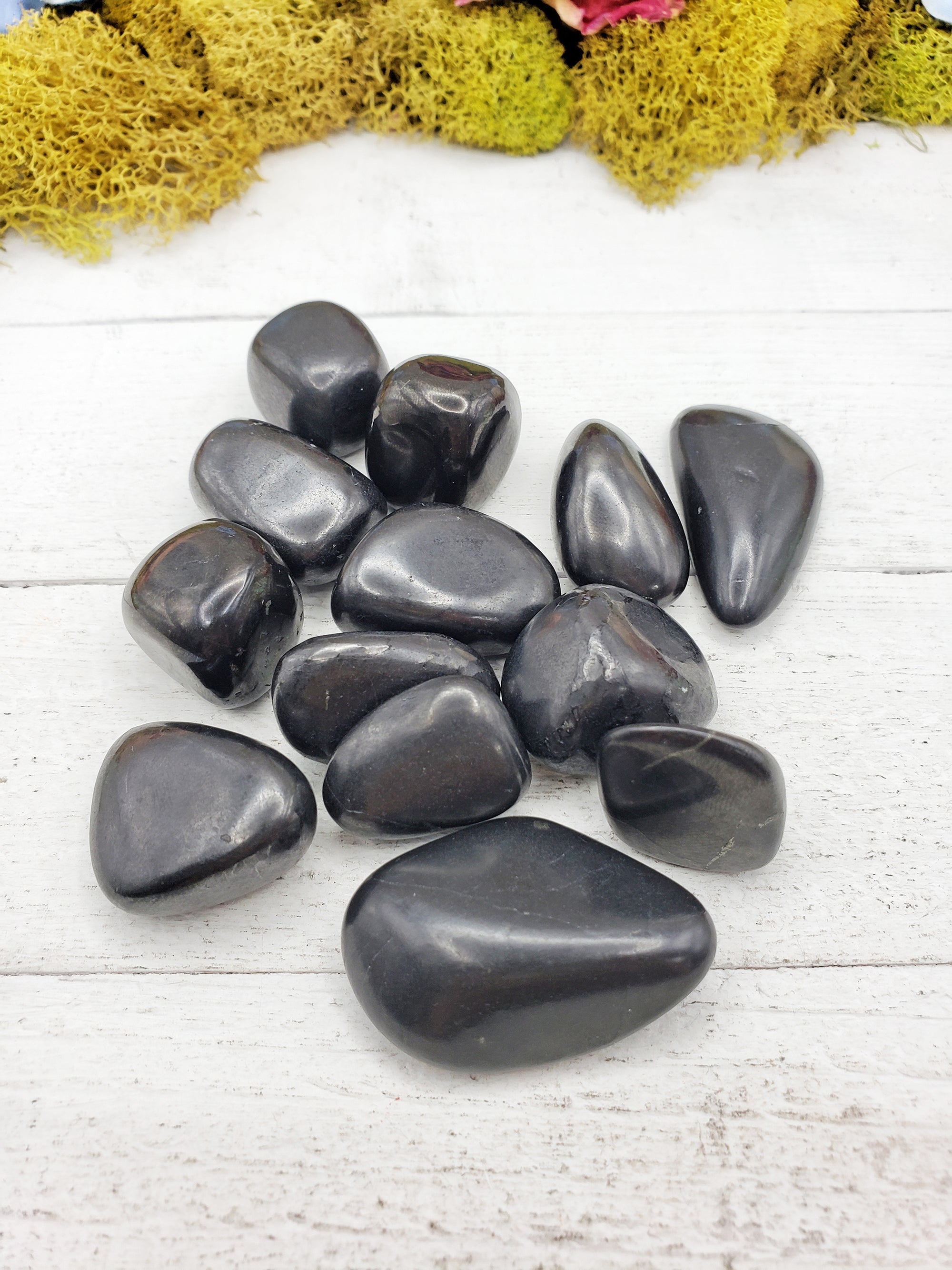 shungite stones on board