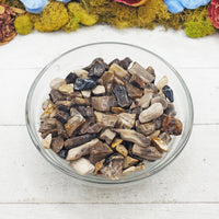 petrified wood chips in bowl