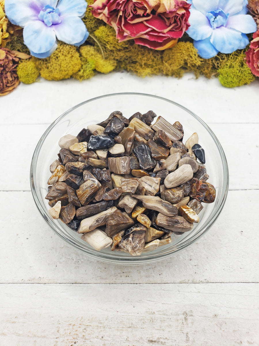 petrified wood chips in bowl