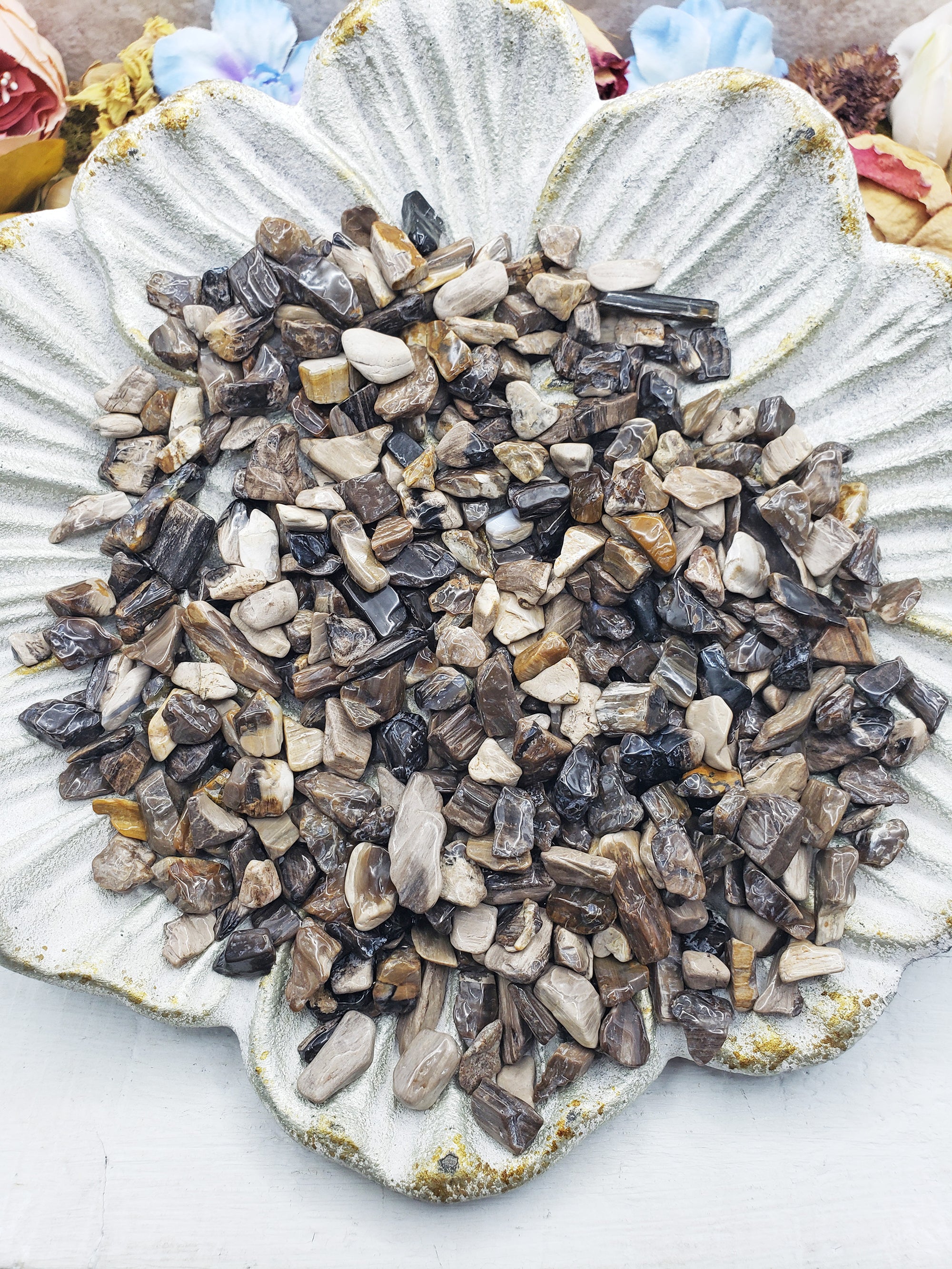 petrified wood chips on flower plate