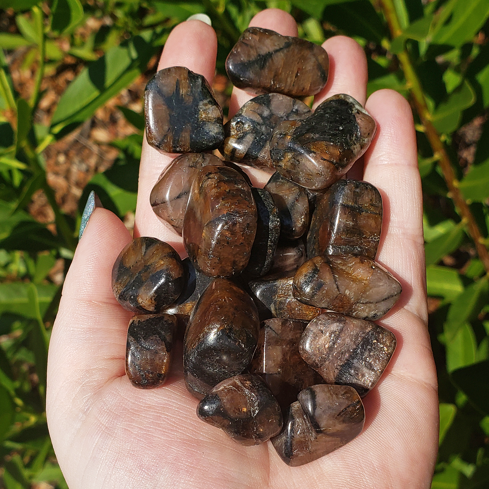 Andalusite Gemstone Natural Crystal Freeform Tumbled Stone - in Sunlight