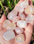 Angel Aura Rose Quartz Crystal Titanium Aura Coated Tumbled Stone | Multiple Sizes - 5