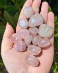 Angel Aura Rose Quartz Crystal Titanium Aura Coated Tumbled Stone | Multiple Sizes - 3