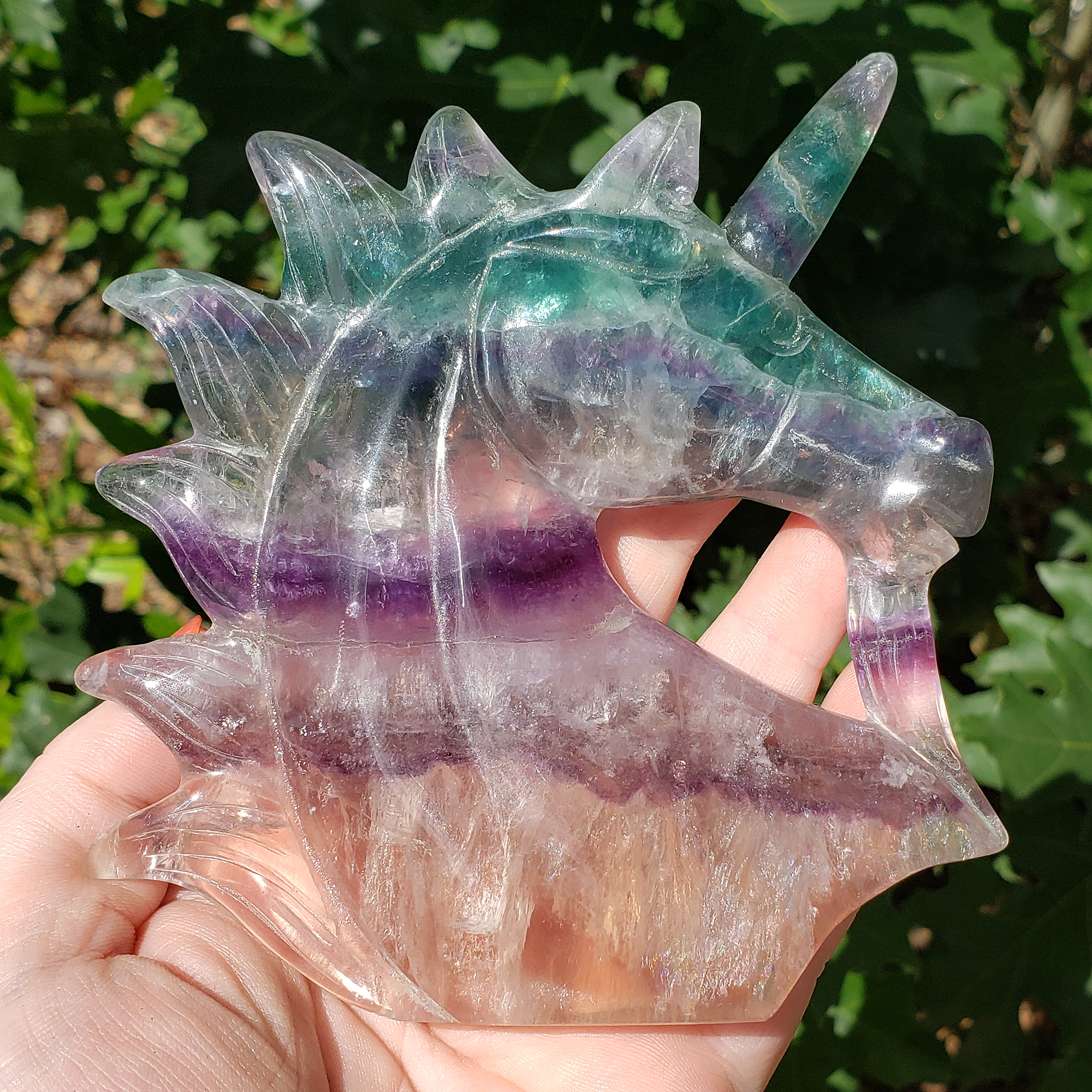 Unique Rainbow Fluorite Crystal Natural Gemstone Unicorn Carving - Argo - In Sun 2