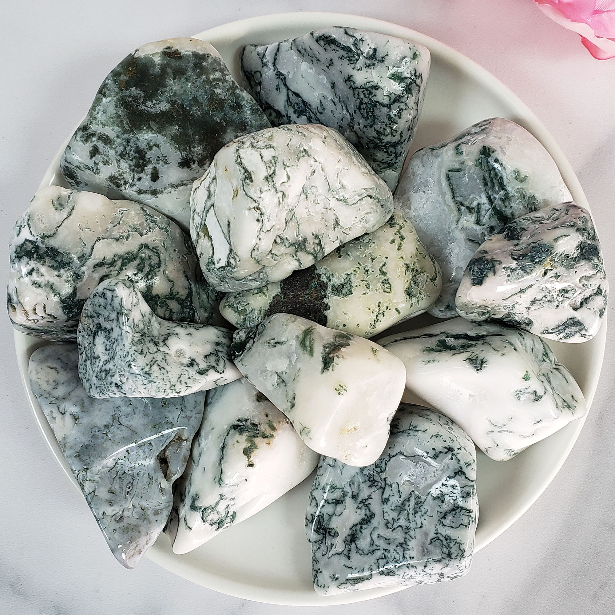 Tree Agate Crystal Natural Gemstone Tumbled Stone | Freeform | Multiple Sizes! - 5