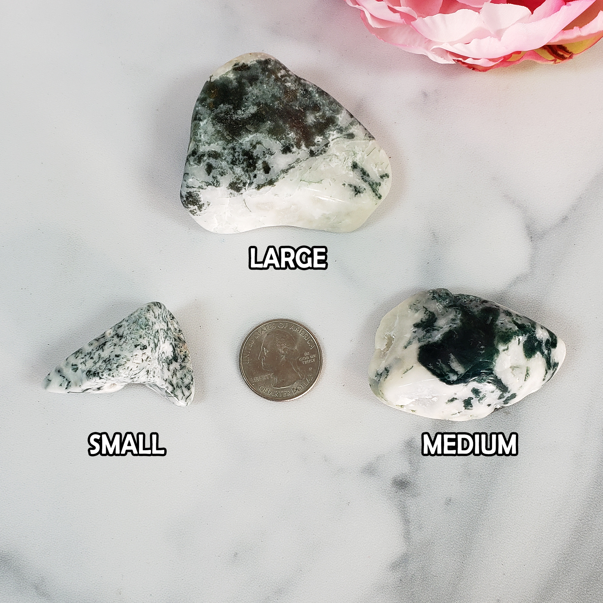 Tree Agate Crystal Natural Gemstone Tumbled Stone | Freeform | Multiple Sizes! - 4