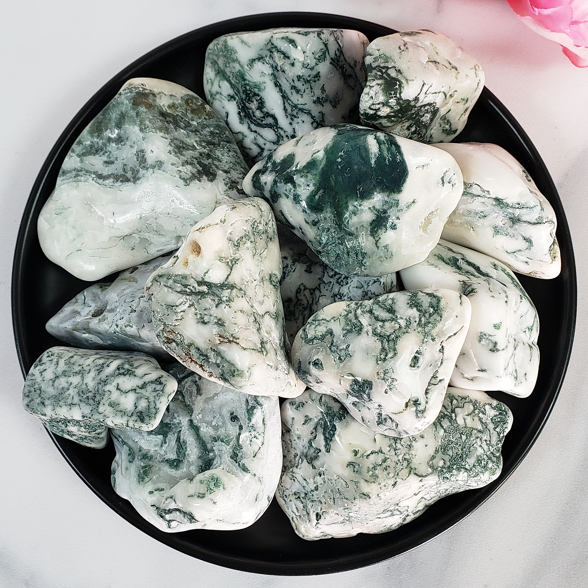 Tree Agate Crystal Natural Gemstone Tumbled Stone | Freeform | Multiple Sizes!