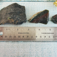 Ruler comparing size between three rough bloodstone crystal pieces, from large to small