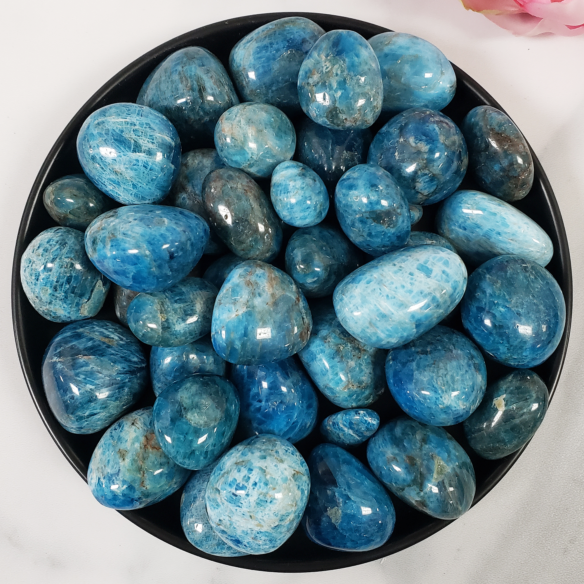 Blue Apatite Crystal Natural Gemstone Tumbled Stone | One Stone | Multiple Sizes!