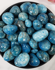 Blue Apatite Crystal Natural Gemstone Tumbled Stone | One Stone | Multiple Sizes!