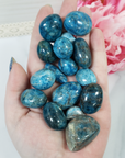 Blue Apatite Crystal Natural Gemstone Tumbled Stone | One Stone | Multiple Sizes! - 1