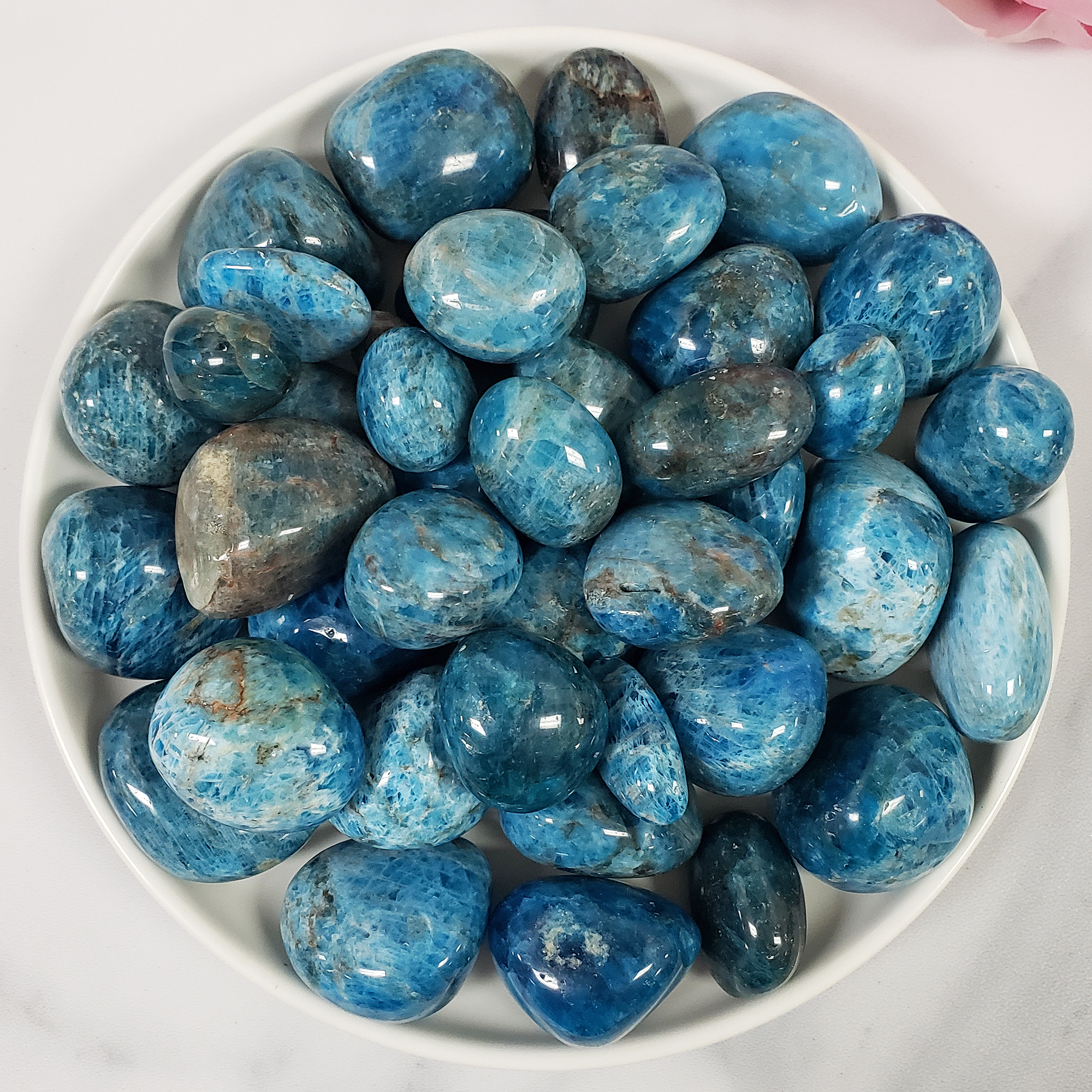 Blue Apatite Crystal Natural Gemstone Tumbled Stone | One Stone | Multiple Sizes! - 2