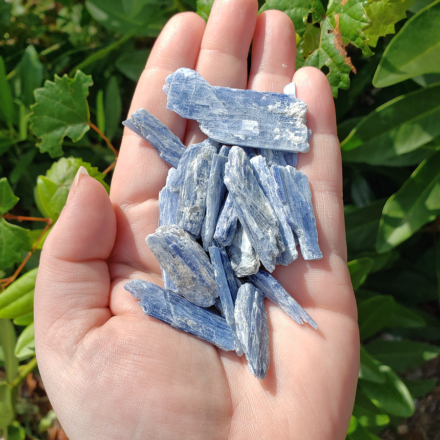Blue Kyanite Natural Raw Rough Gemstones - By the Ounce - In Direct Sunlight
