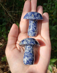 Blue Sodalite Stone in Quartz Crystal Mushroom Natural Gemstone Toadstool Carving - 1