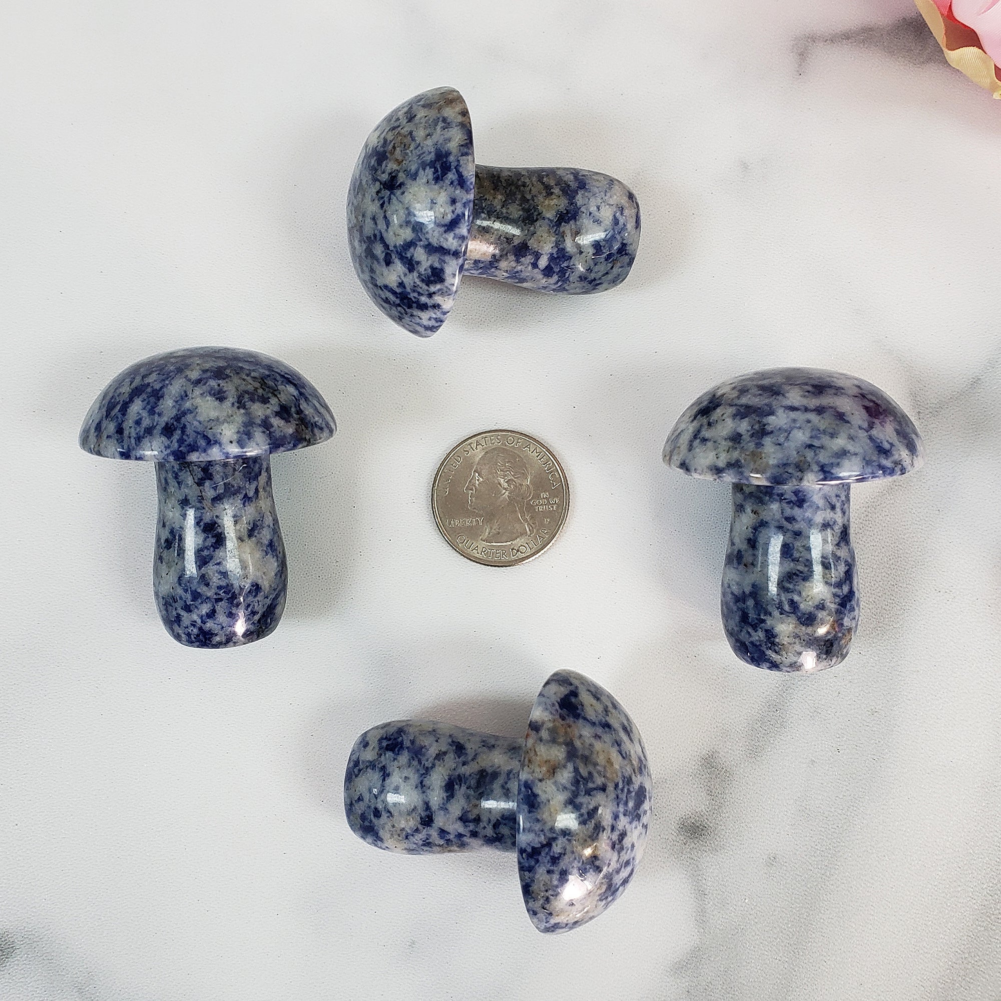 Blue Sodalite Stone in Quartz Crystal Mushroom Natural Gemstone Toadstool Carving - 4