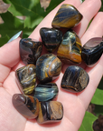 Multi Blue Tigers Eye Crystal Natural Gemstone Tumbled Stone - 9