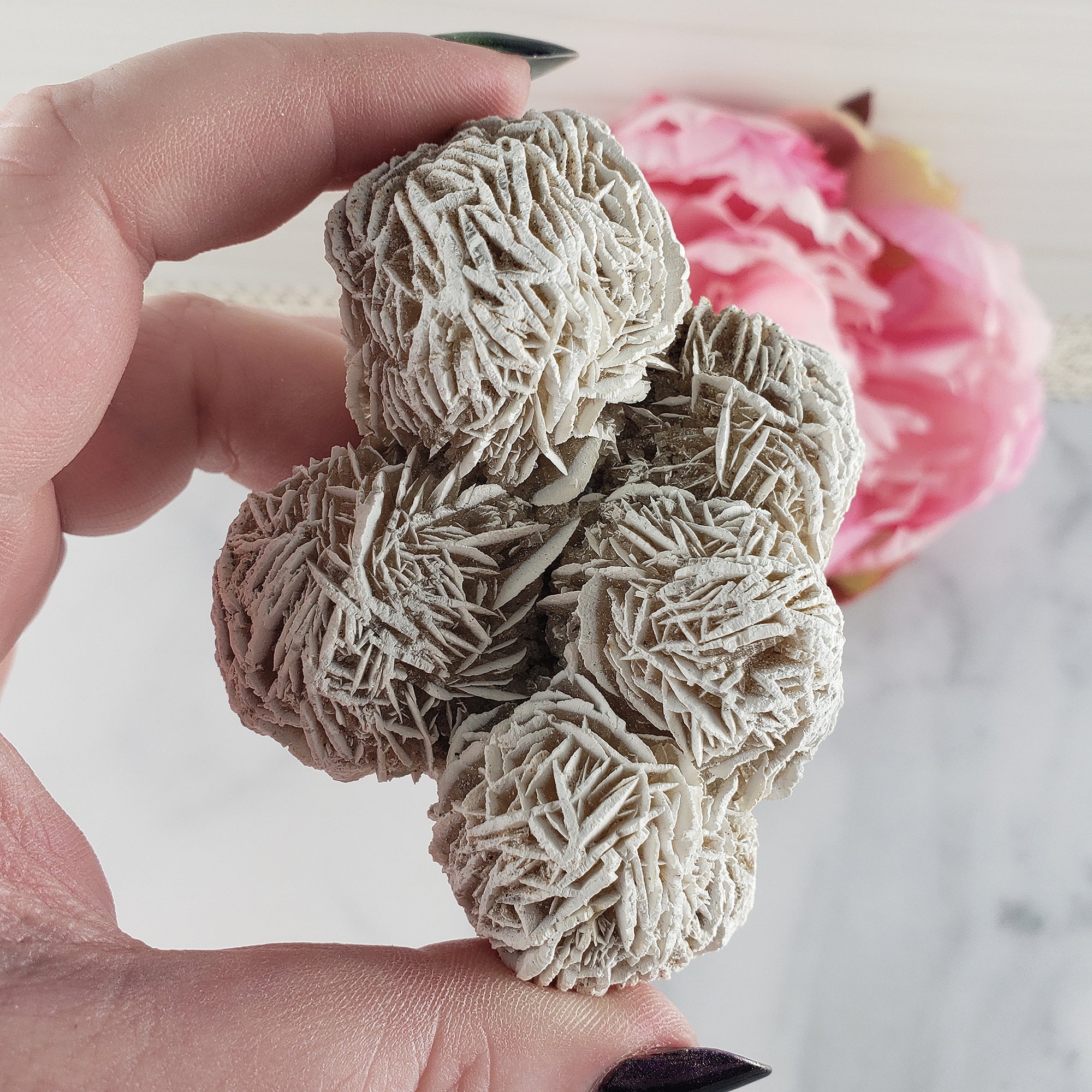 Unique Desert Rose Selenite Crystal Cluster Heat Treated Rough Mineral Formation | Bouquet