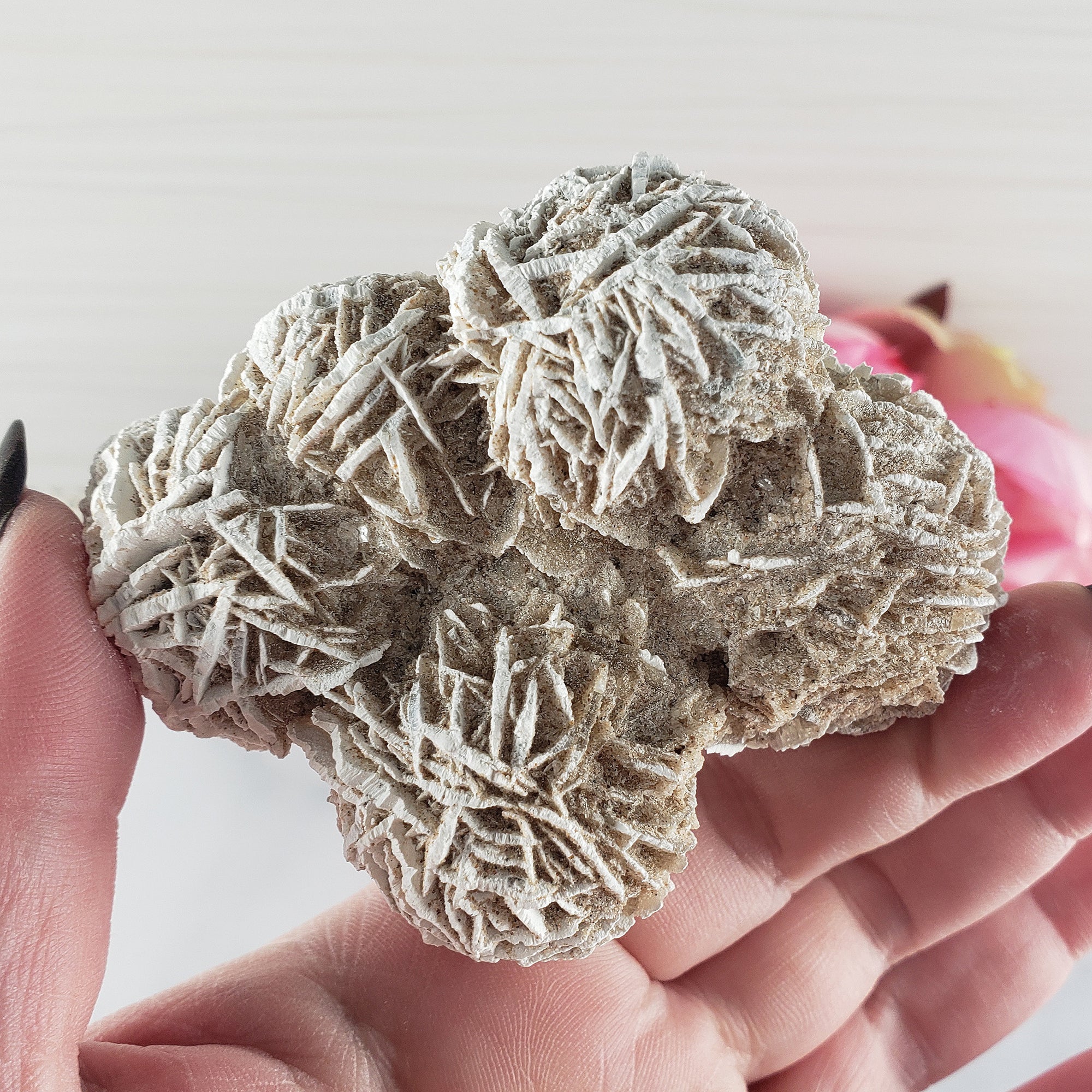 Unique Desert Rose Selenite Crystal Cluster Heat Treated Rough Mineral Formation | Bouquet - 2