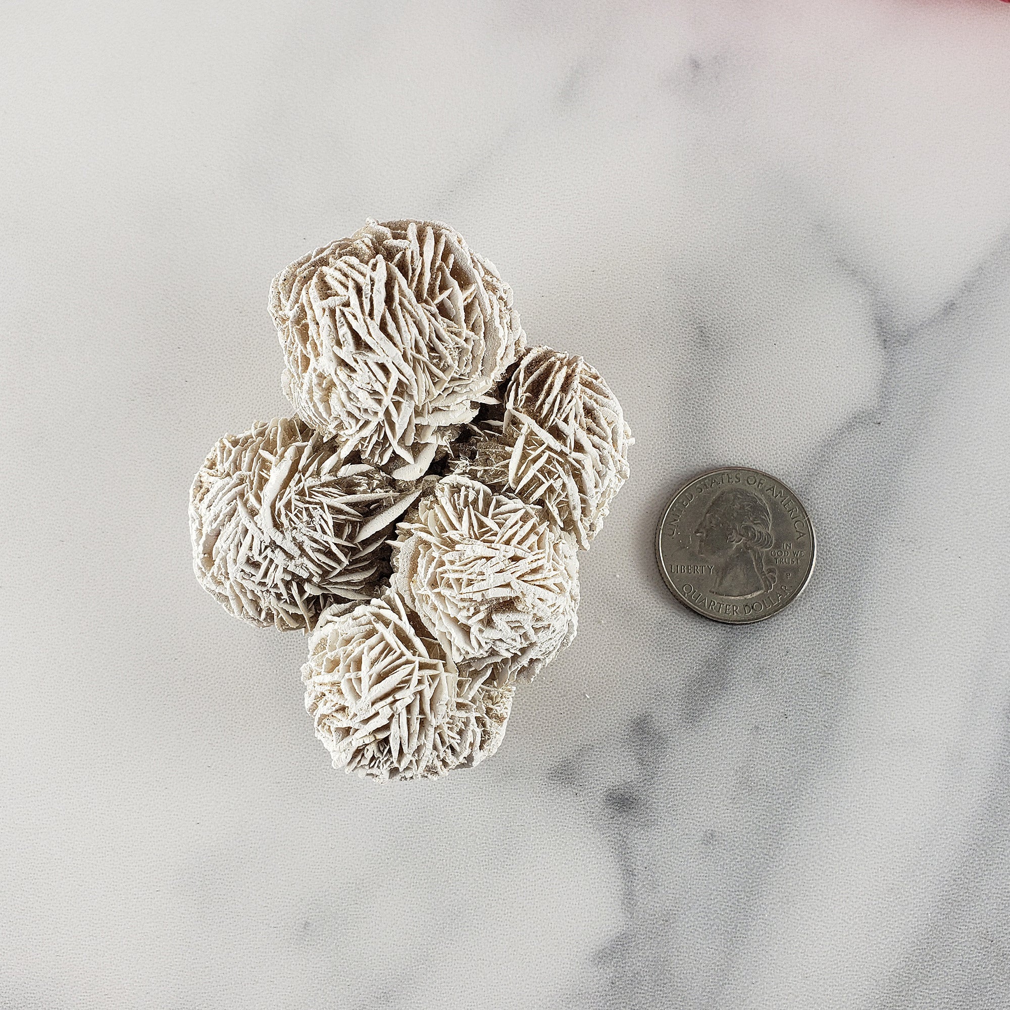 Unique Desert Rose Selenite Crystal Cluster Heat Treated Rough Mineral Formation | Bouquet - 3