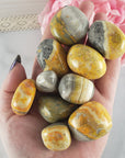 Bumblebee Jasper Calcite Crystal Natural Gemstone Tumbled Stone | Multiple Sizes - Harlequin Jasper