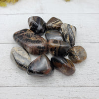 Spearite Black Jasper Tumbled Gemstone - One Stone