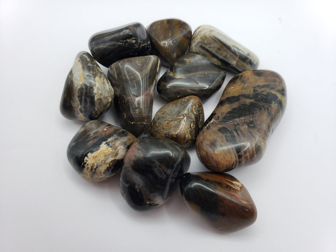 Spearite Black Jasper Tumbled Gemstone - One Stone