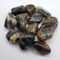 Black Jasper Tumbled Gemstone - Single Stone