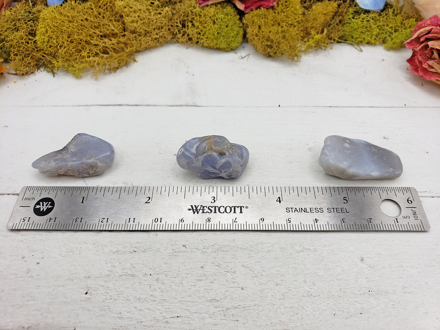 tumbled fancy blue chalcedony on ruler for size comparison