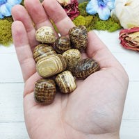 Brown Aragonite stones in hand