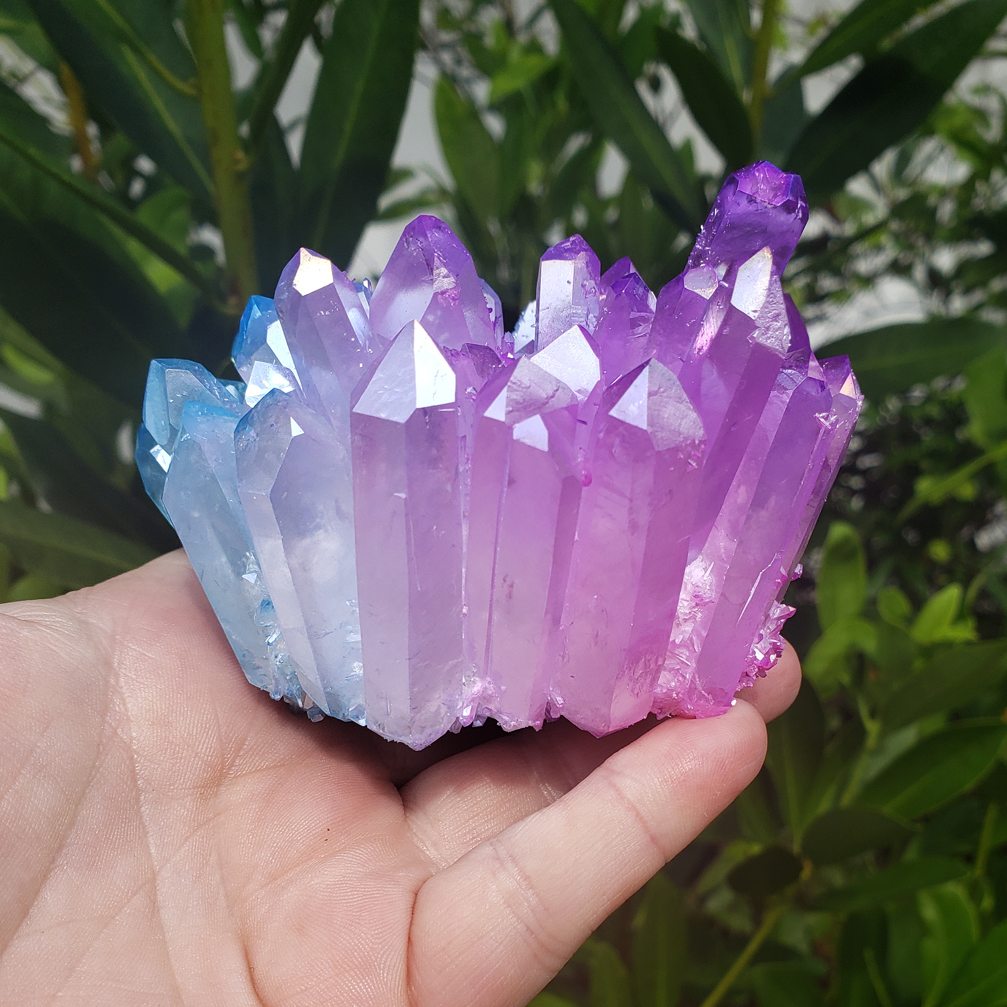 Unique Dual Rainbow Aura Quartz Crystal Cluster | Aqua Aura & Tanzine Aura - Side View