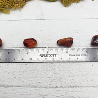 mini carnelian stones by ruler