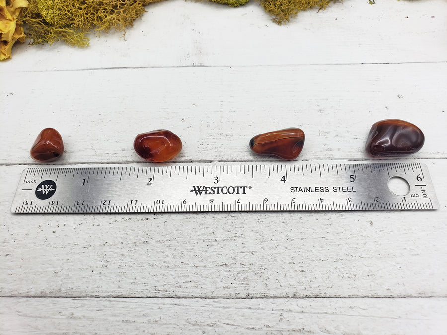 mini carnelian stones by ruler